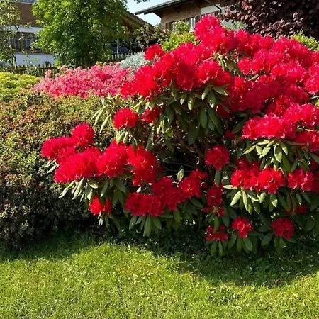 別荘 Sunneggli Aeschi Bei Spiez